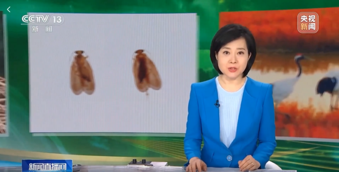 《中国生物物种名录2023版》媒体报道