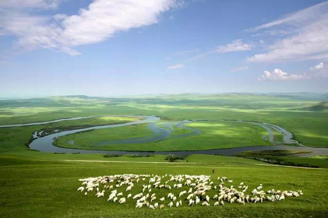 为恢复退化的草原开“药方”